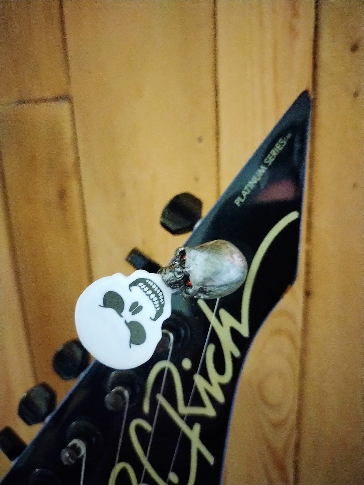 Grave Picker Guitar Pick Holder 1STPH-1