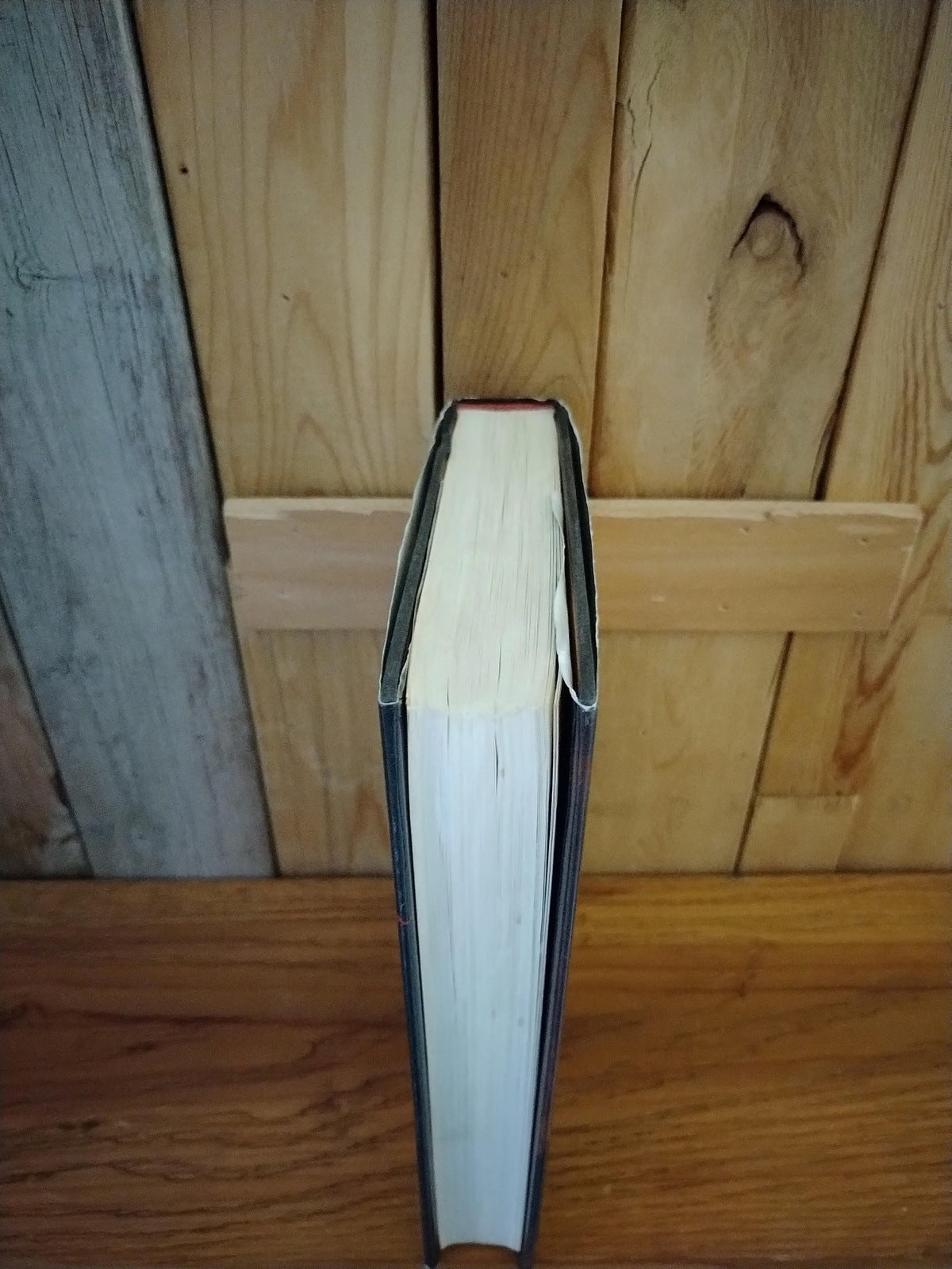 Stephen King Rose Madder First Edition Hardcover First Edition 74789HC