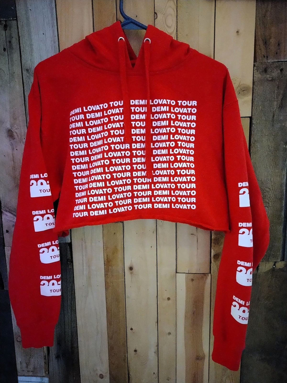 Demi Lovato 2018 Tour Crop Hoodie Size Medium