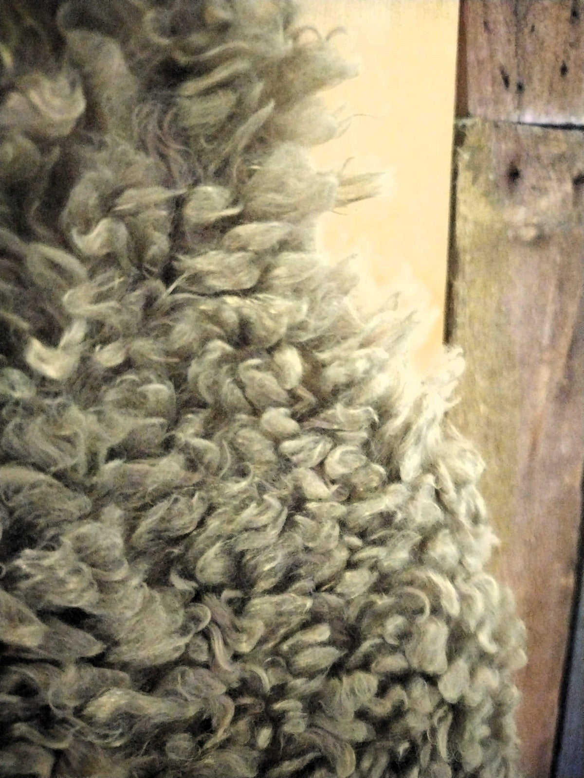 Women's Faux Fur Vest Size L/XL New with Tags