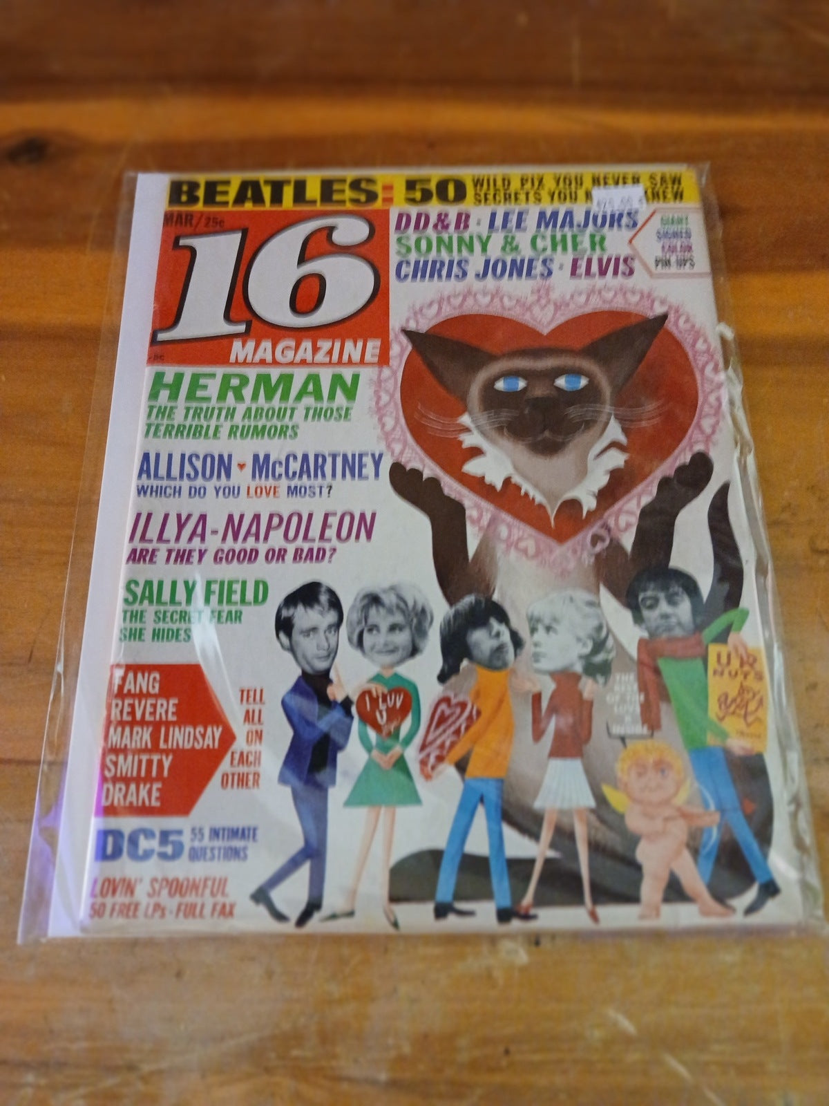 16 Magazine Vintage 1966