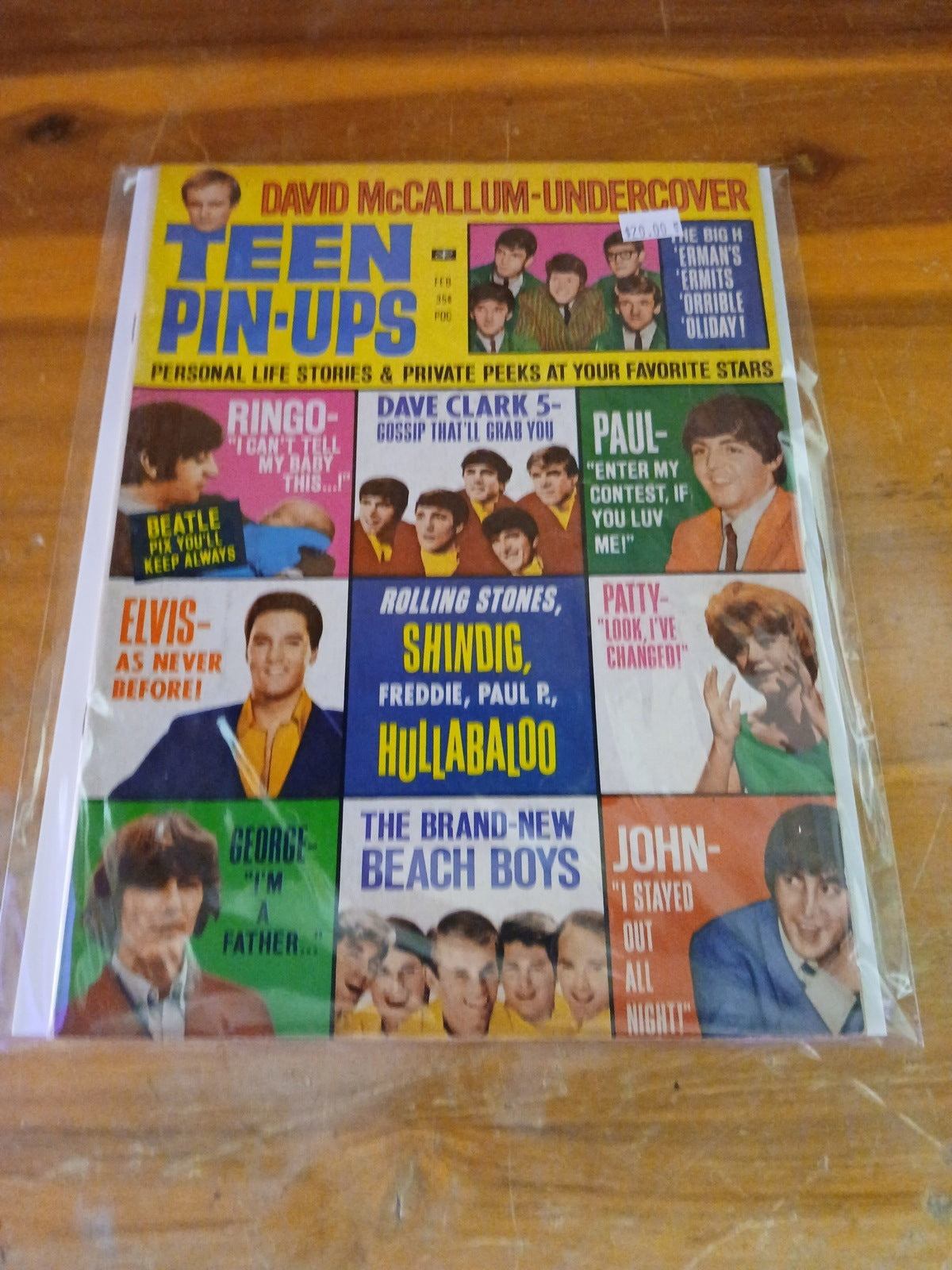 Teen Pin-Ups Magazine Feb 1966