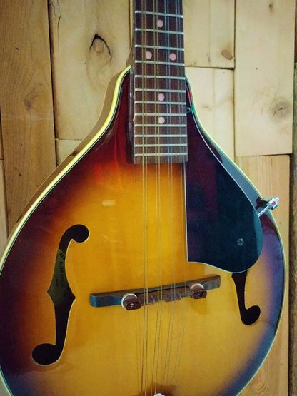 Kentucky KM160 Mandolin with Chip Board Case