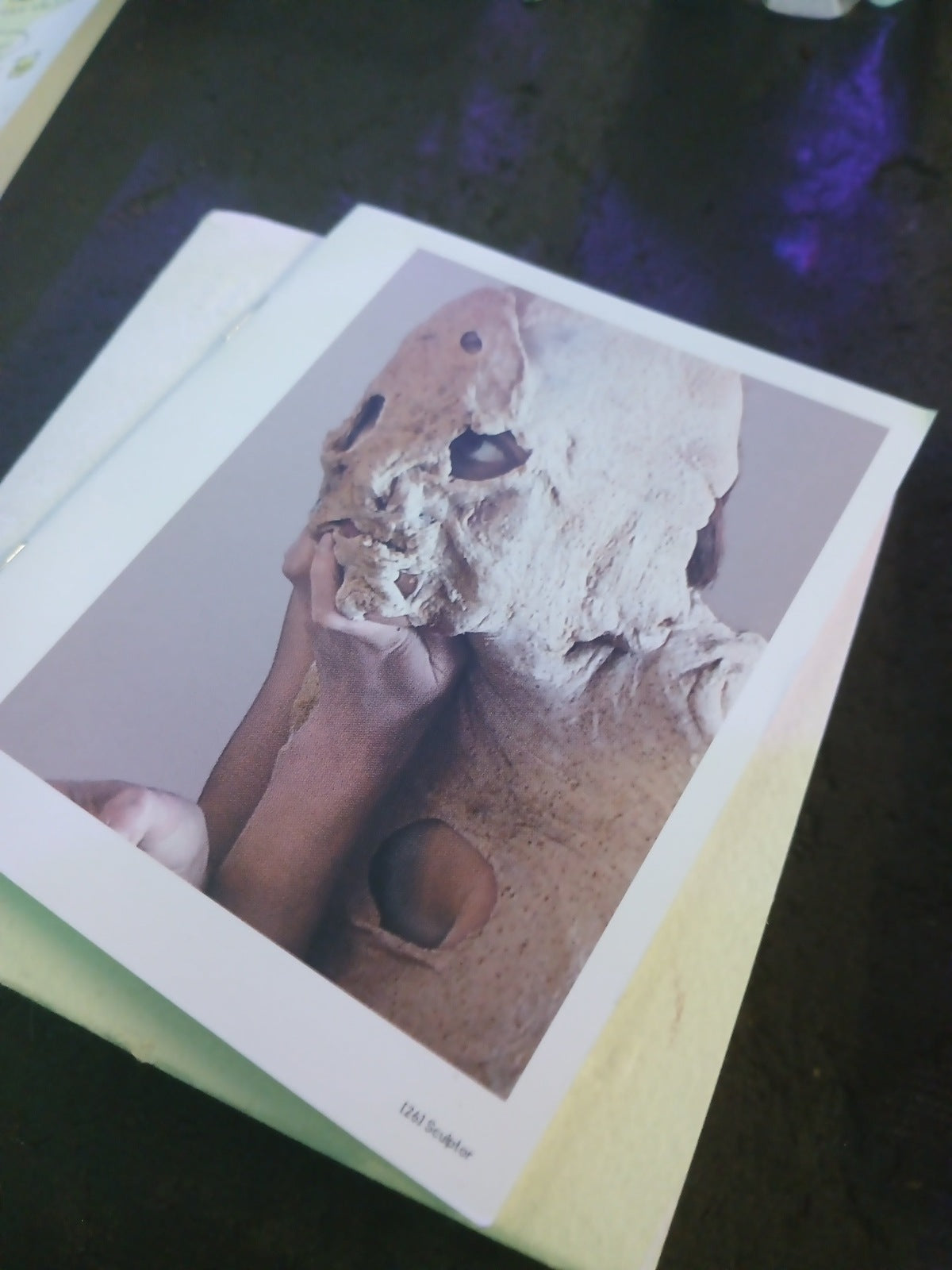Bjork Family Tree CD Booklet & Mini Disks