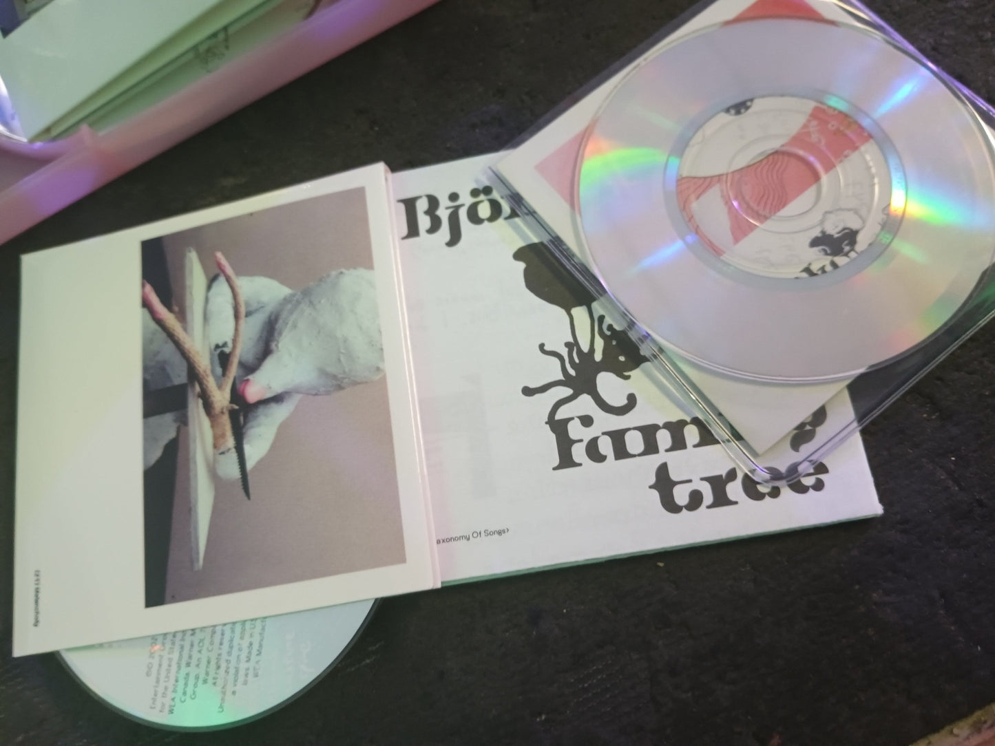 Bjork Family Tree CD Booklet & Mini Disks