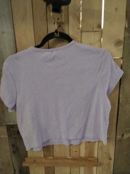 Divided blink 182 purple Cropped tee Medium