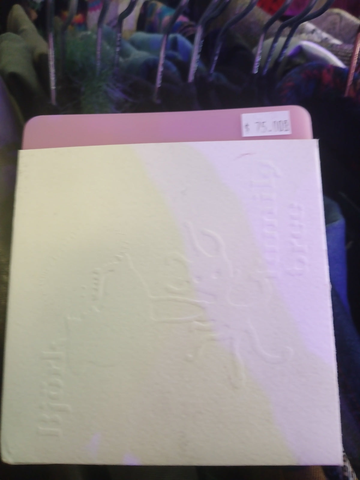 Bjork Family Tree CD Booklet & Mini Disks